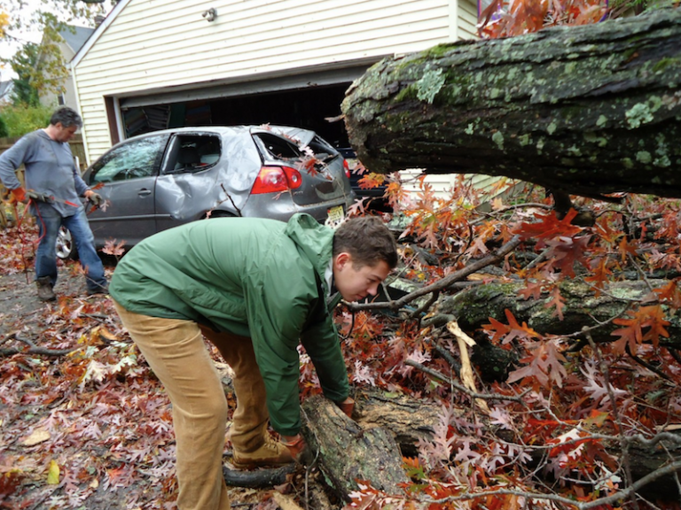 Portland 24 Hour Emergency Tree Service