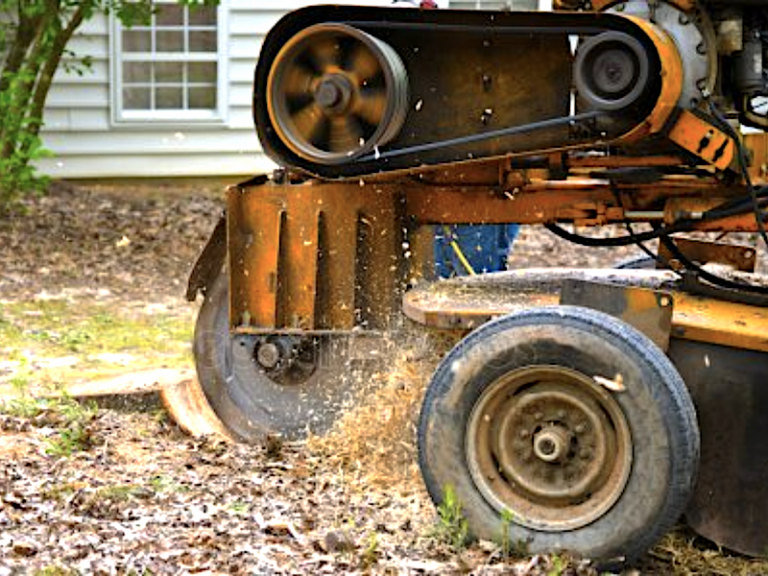 Stump Grinding Portland Oregon