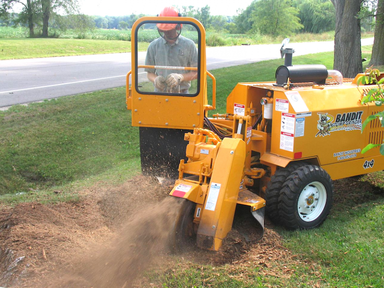 Stump Grinding Portland Oregon