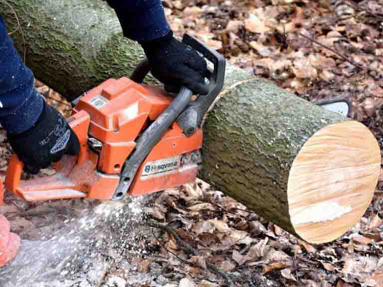 Tree and Stump Removal Portland